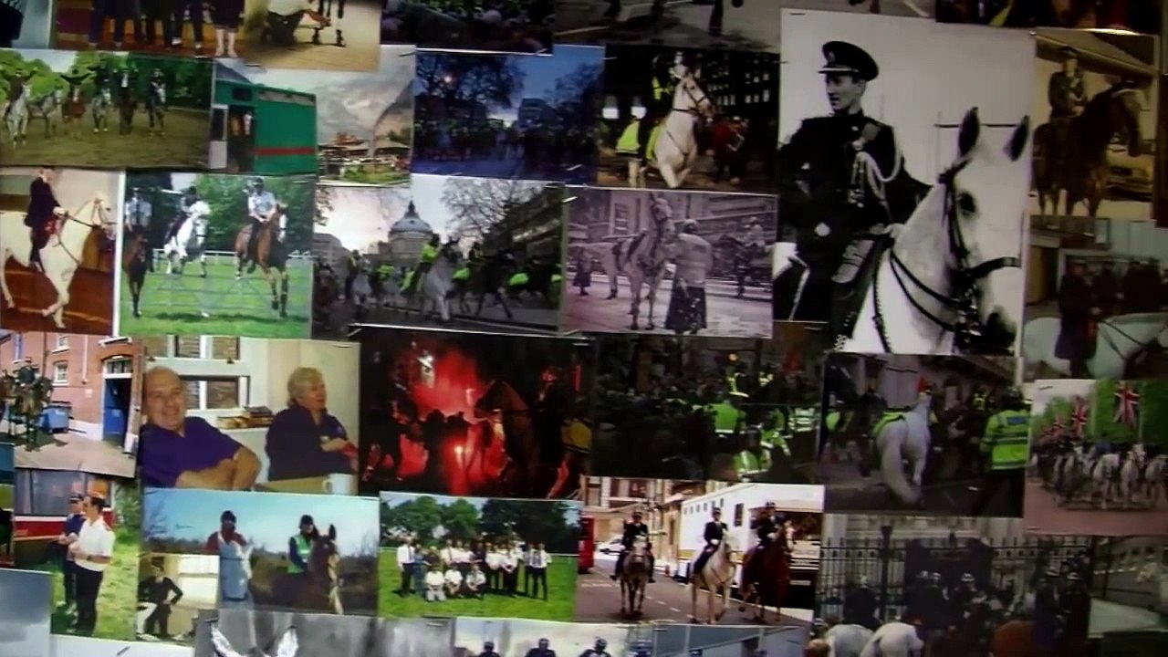 Behind the Badge - The Mounted Branch