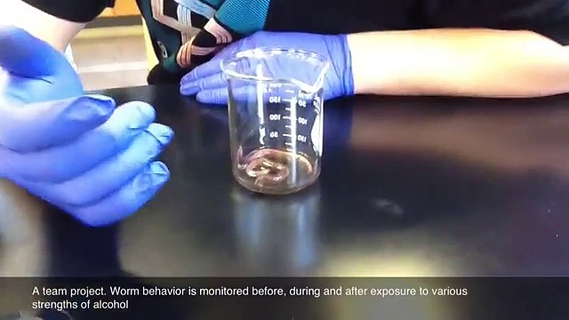 Alcohol Toxicity Lab