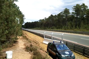 Mazda 787B Crazy Sound