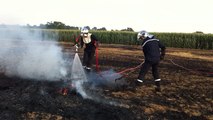 Cinq hectares de chaume en flammes