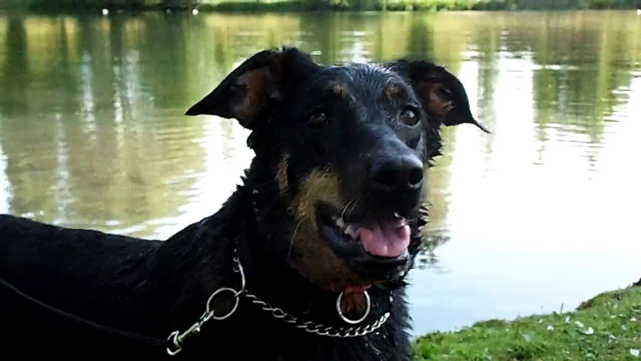 nala au lac suite