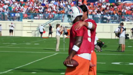 ML Dolphins Cinema Verite