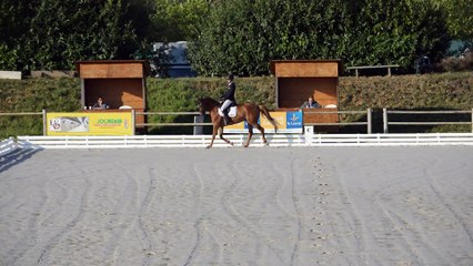 Arsene des Iris - Dressage CCE 5 ans A - 07/08/2015