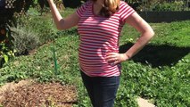23 Week Pregnancy Vlog - Diet, Exercise & Weight Gain