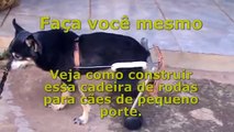 Cadeira de rodas para cães pequenos