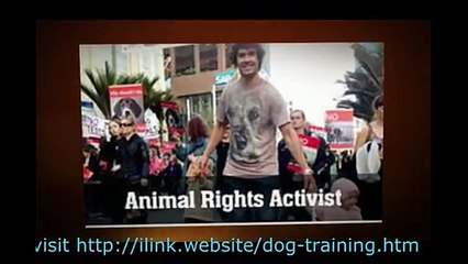 Training German Shepherd Puppies