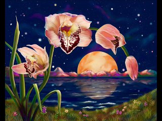 Orchids In The Moonlight-Nye Mayhew Orchestra