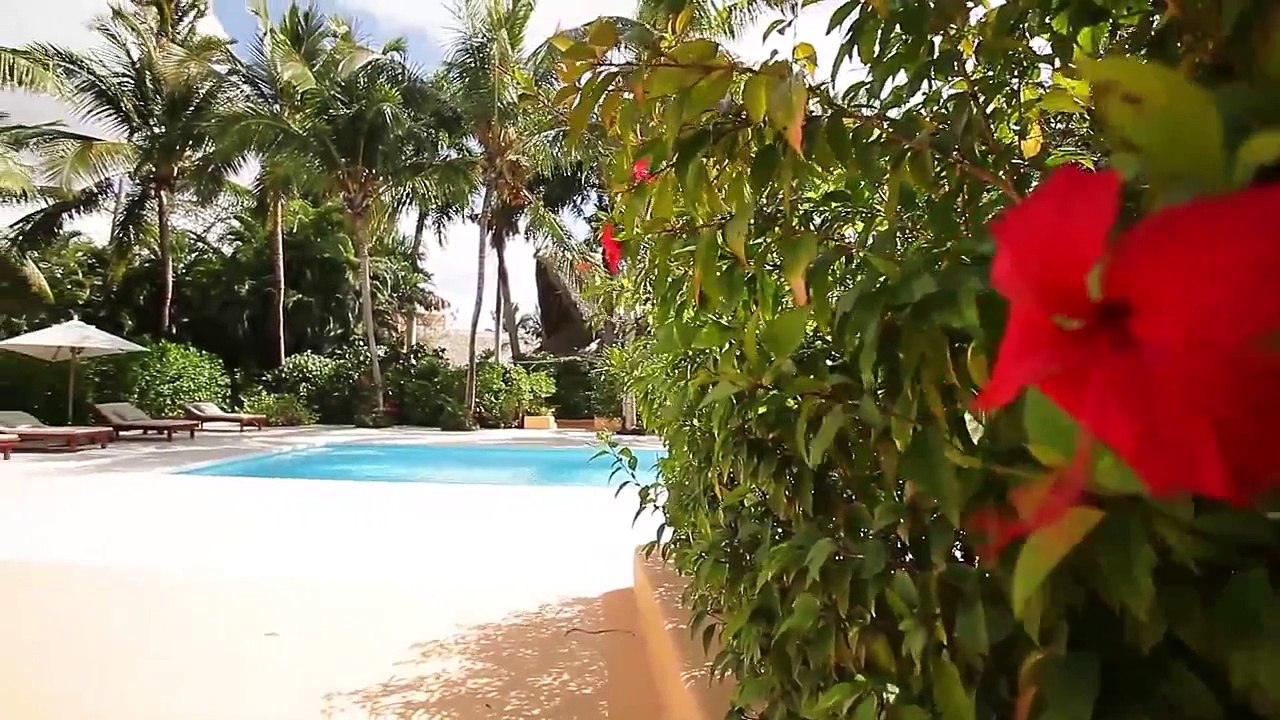 PUNTA MINITA 11 - Casa Palapas @ Casa de Campo. A Marco Aldaco Design