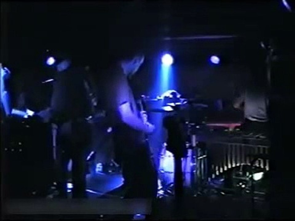 swans copenhargen 1995 3