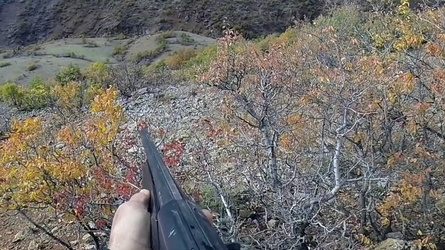 Tavşan avı 01.11.2014