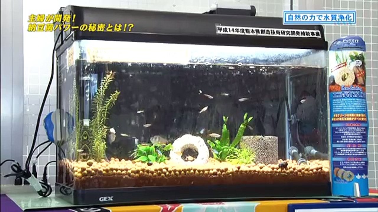 Bioblock-夢の扉　納豆菌Bioblock