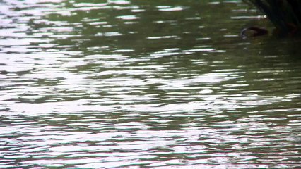 Beyond The Sea Instrumental