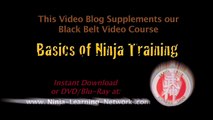 Ninjutsu Katana: Shohatto Part2 Enshin Itto Ryu Battojutsu (Shodan training)