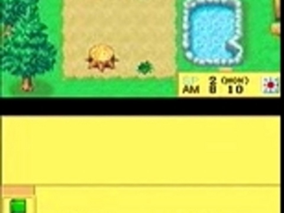 Harvest moon DS
