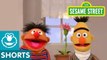 Sesame Street- Bert and Ernie Grow a Flower