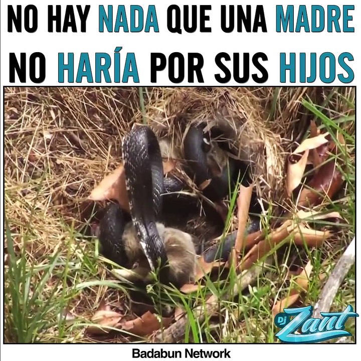 No hay nada que una madre no haria por sus hijos
