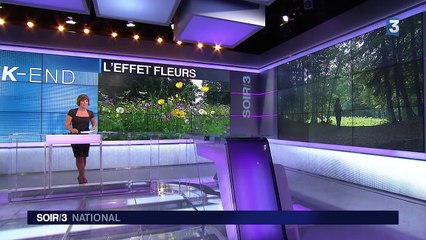 Les fleurs influenceraient nos émotions