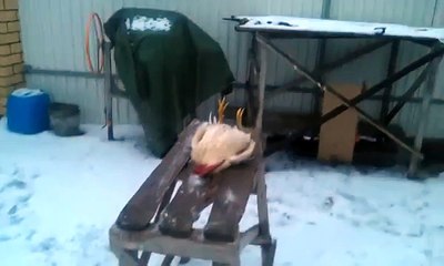 Полный Ржач!!))) Петя умер