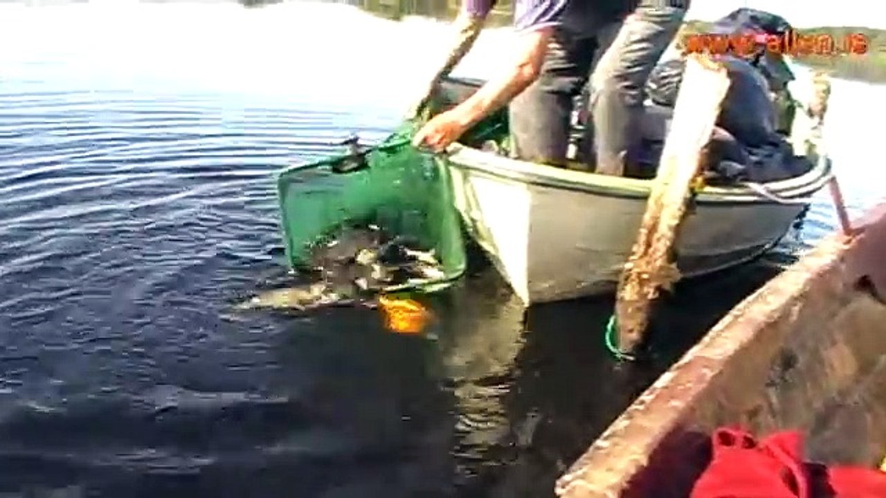 Lough Allen Fishing