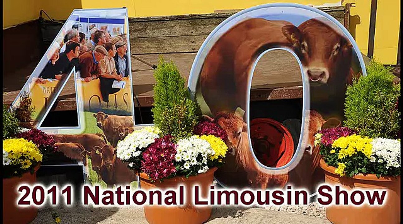 2011 National Limousin Show