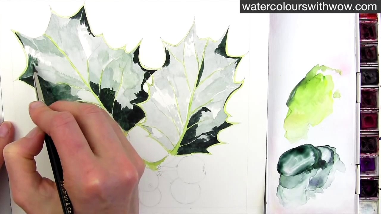 How to paint realistic holly leaves for your Christmas card in watercolour by Anna Mason