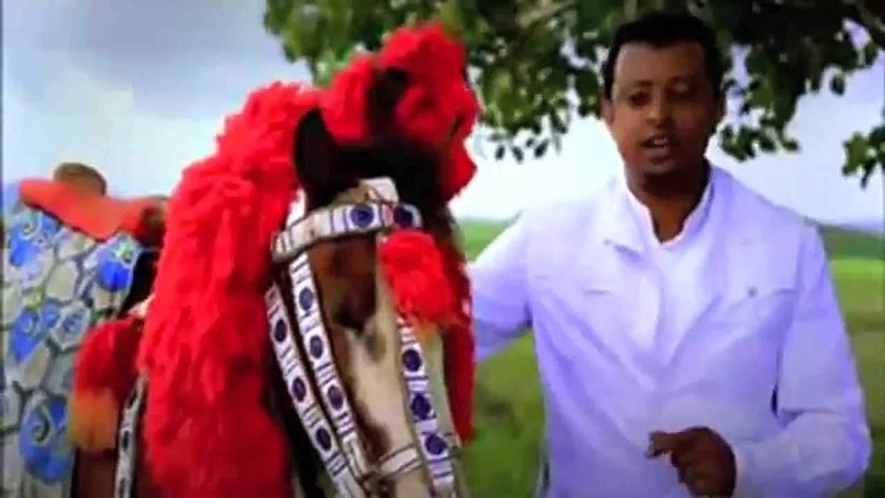 Tadale Gammachuu   Hin teenyu