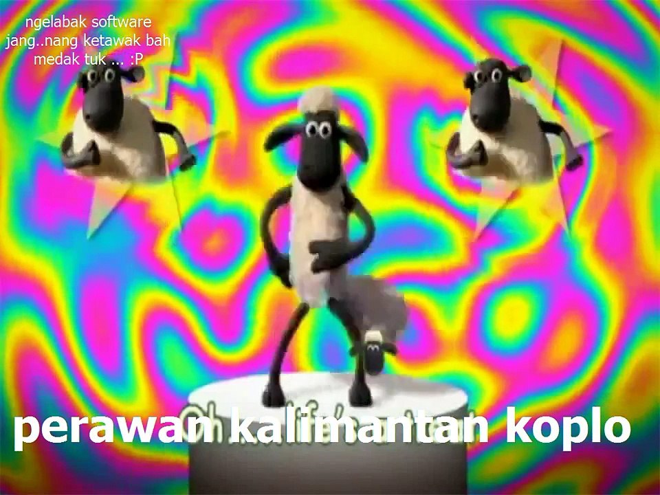 shaun the sheep goyang koplo