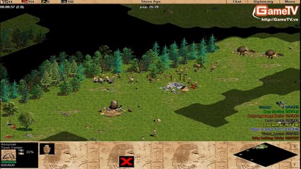 AOE Thái Bình + MeoMeo vs Hà Nội 11 01 2014 C1 2