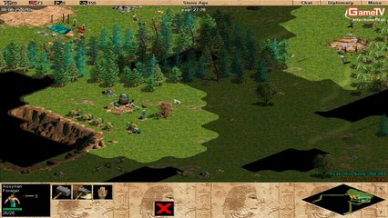 AOE G_Des vs G_PEP solo Assyrian 07-01-2014 C3T5