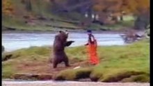bear VS. man   -  pub