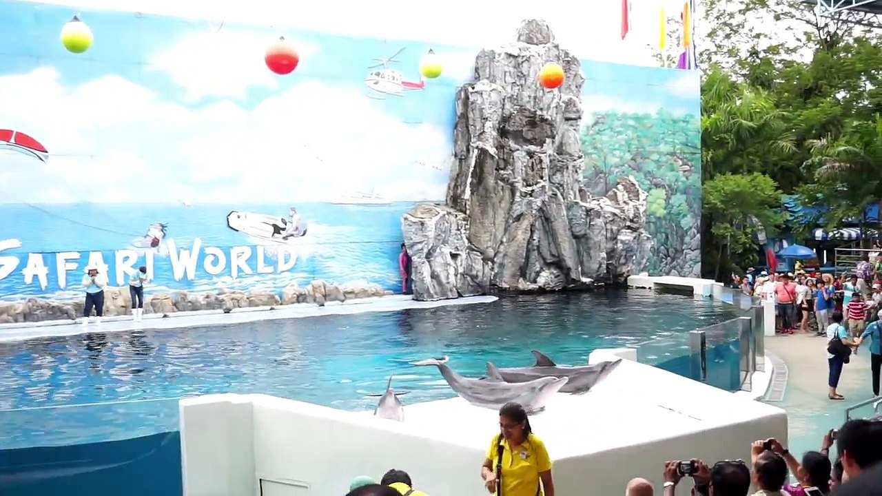 โชว์ปลาโลมา  Dolphin Show @ Safari World ( 19-07-2558)