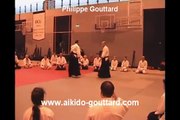Guillaume Erard - Aikido Ukemi