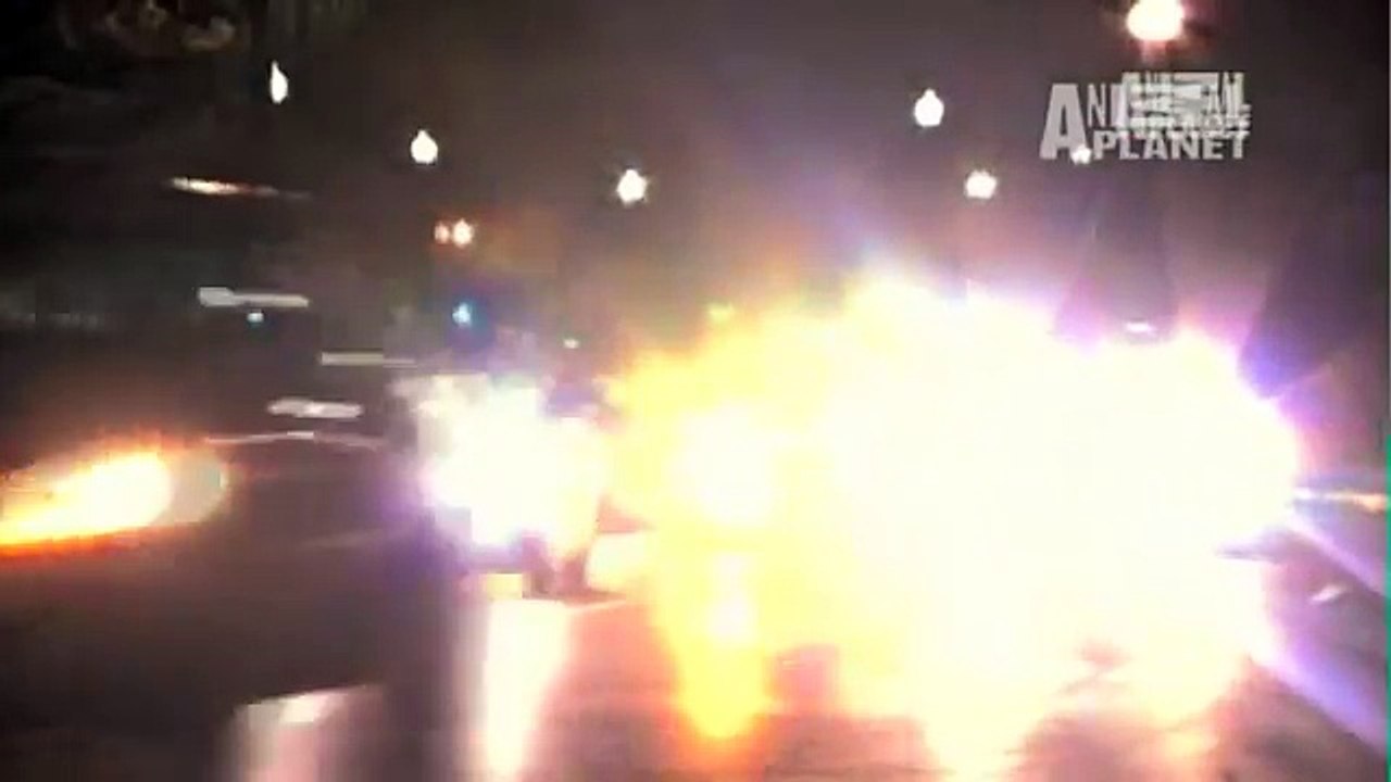 Monsters Inside Me: Really Bad Sushi