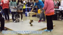 Korea International Robot Contest 2014 - Boxing Japan vs HK
