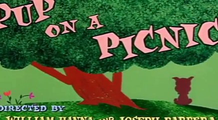 Tom and Jerry Cartoon 091 Pup on a Picnic 1953 widescreen