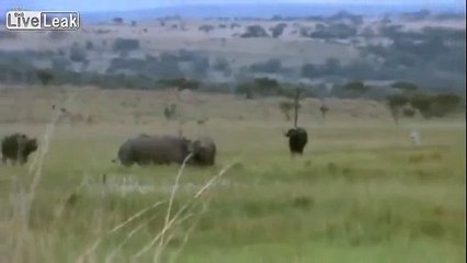 LiveLeak - Very tough fight by 2 giants to the death-copypasteads.com