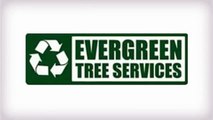 #1 Atlanta Tree services - Evergreen Tree Services