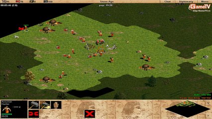 AOE G_Des vs Bibi solo Assyrian 07-01-2014 C2T2