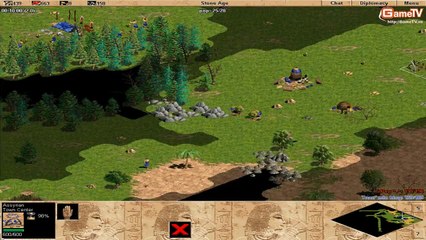 AOE G_Des vs G_PEP solo Assyrian 07-01-2014 C2T2