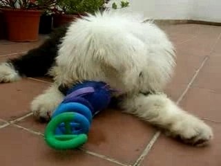 Felipe jugando con sus nuevos juguetes