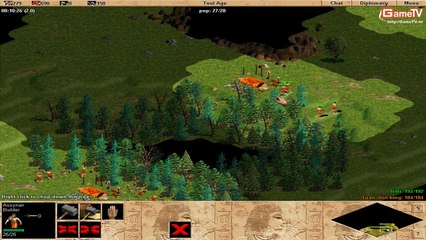 AOE G_Des vs Bibi solo Assyrian 07-01-2014 C2T4