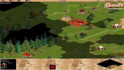 AOE G Pep vs G Des solo Assy 04 01 2014 C3T2