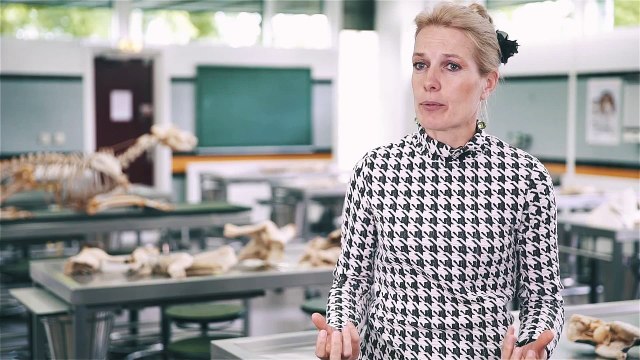 Dierdonorcodicil: waarom is doneren nodig?