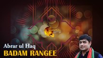 Badam Rangee | Abrar ul Haq | Audio Visualisation Version