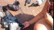Hand feeding pigeons cali colombia