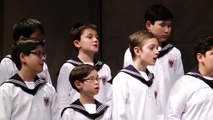 Wiener Sängerknaben Haydnchor Vienna Boys Choir Wiener Blut Walzer Op. 354 Südkorea Januar 2015