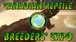 Canadian Reptile Breeders' & Exotic Pet Expo - Mississauga Reptile Show. Reptile Kings, Toronto 9