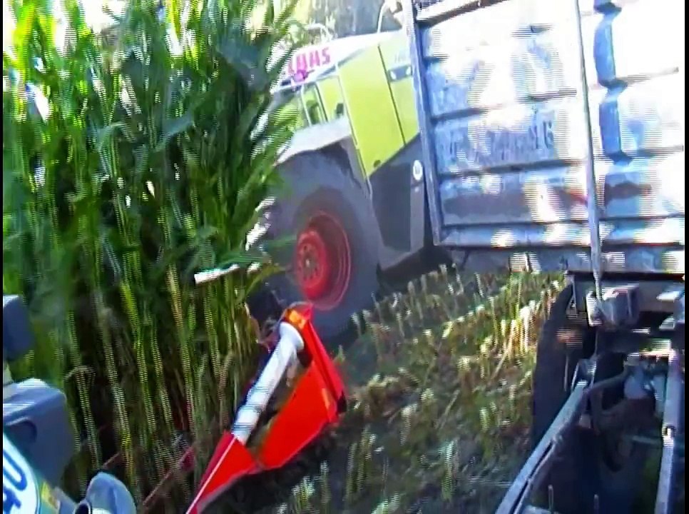 °Maishäckseln 2012 mit Fendt Deutz Claas und John Deere ! [HD]°