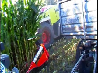 °Maishäckseln 2012 mit Fendt Deutz Claas und John Deere ! [HD]°