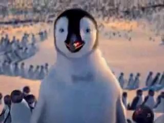 New Punjabi Totay//Penguins Sardar//HD//FUNNY